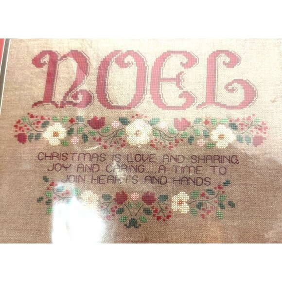Janlynn Other - Janlynn Christmas Cross Stitch Kit NOEL 27 Count Evenweave Fabric & Cotton Floss